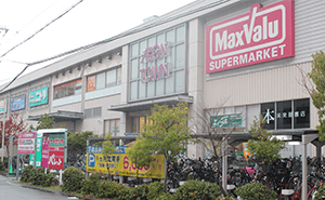 イオンタウン平野