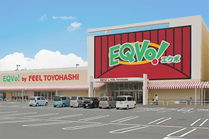 フィールエクボとよはし