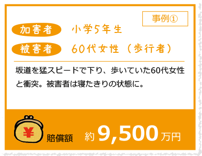 【事例1】坂道を猛スピードで下り、歩いていた60代女性と衝突。被害者は寝たきりの状態に。[賠償額 約9500万円]