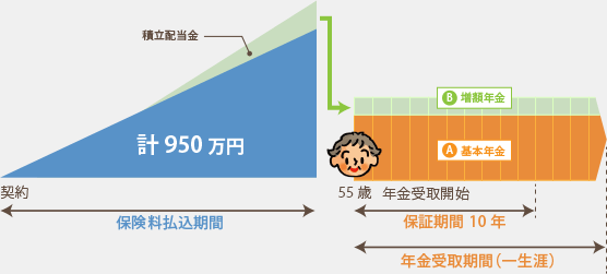 個人年金保険（10年保証期間付終身年金）