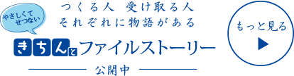 きちんとファイルストーリーをもっと見る