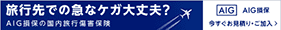 AIG損保の国内旅行傷害保険