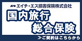 エイチ・エス損害保険 国内旅行総合保険