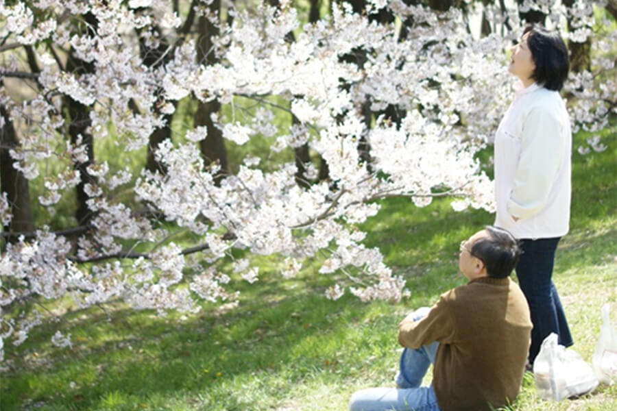 金婚式から五年経って　今度は何婚式って言うんだっけ