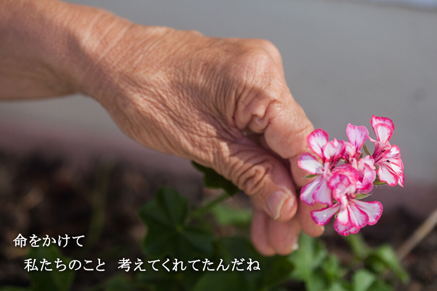 命をかけて　私たちのこと　考えてくれてたんだね