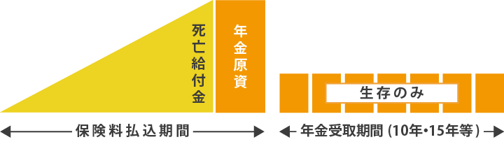 有期年金保険のイメージ