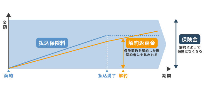 解約返戻金の仕組み(終身保険)